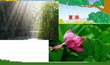 四季雨，四季情_1200字