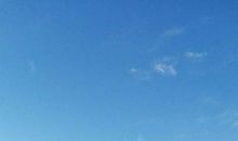 身边的风景也动人_600字