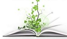 与自然相伴_200字