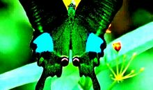 忆前世，我们是否曾相遇_450字