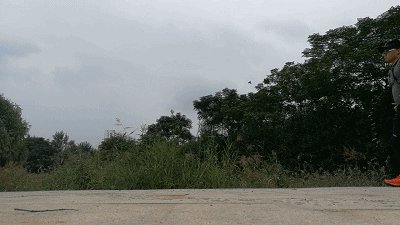 一直到灰色一路绿色_1000字