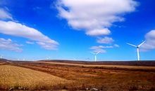 抬头看看，会有别样的风景_1200字