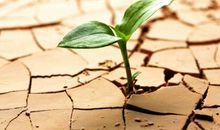 盛开在心上的彩虹_1200字