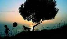 离别的滋味_1200字