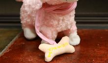 情系毛绒狗_650字