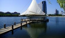 没想到我如此浮躁_900字