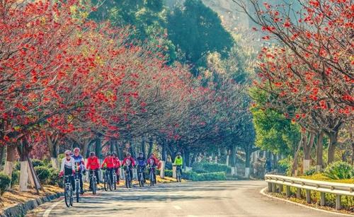 最阳光的地方_800字