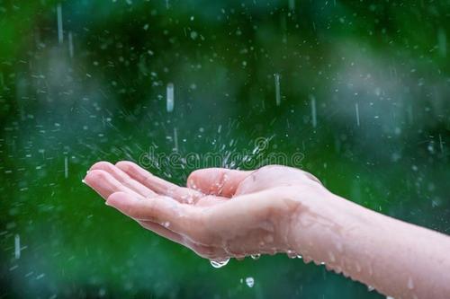 触摸风雨_1000字