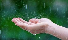 风雨中的感动_1000字