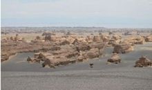 偶尔停一下，真好_800字