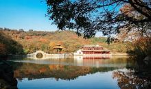 之逸，还有……风逸。_500字