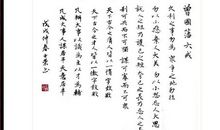 勿以小恶弃大美_700字