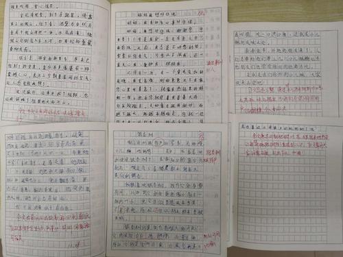 我明白了，一种叫做强大的美女_700字