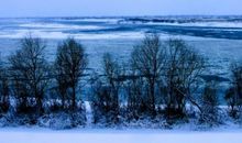 这事真让我心安_1200字