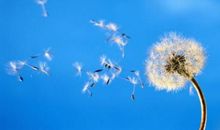 将美好的旋律留在心里_700字