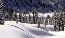 汾中的冬天_500字