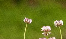 不错过的风雨_600字