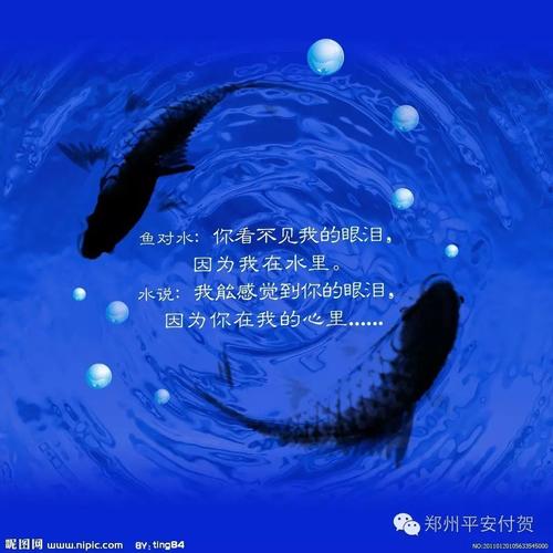 fei xing注意_1200字