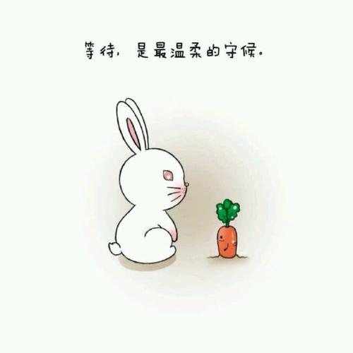 陪同，是最长的忏悔_650字