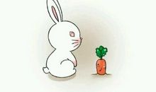 陪伴，是最长情的告白_650字