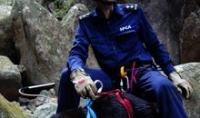 一年级观后感：《橡胶工人》_250字