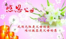 回家的感觉就是好_800字