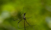 白了你的城，荒了我的心_1200字