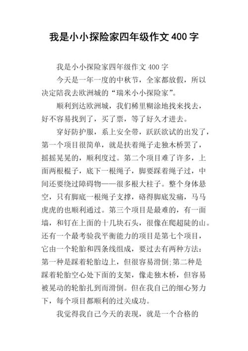 冒险的组成：Explorer _900字