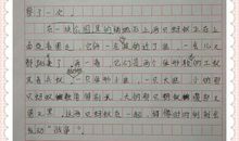 关于探险的作文：蚂蚁探险_500字
