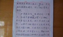 关于探险的作文：蚂蚁探险（四）_700字