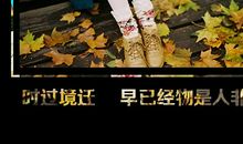 物是人已非_500字