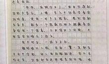 清明挖笋记_800字