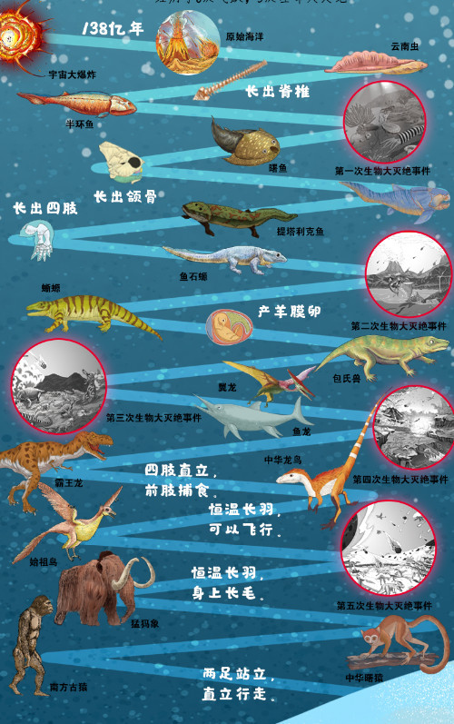 特殊体验_800字