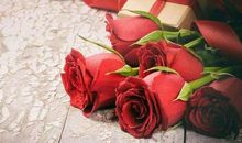 一朵玫瑰胜过九十九朵天_800字