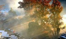 野旷天清无战声，四万义军同日死。