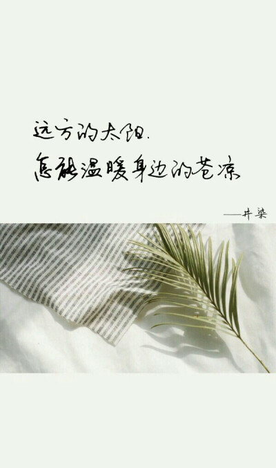 窗户是红色的，但心脏是浅云。只有当你安静时，你只能做得好。当你安静时，你的思想已经变得清晰，即使周围的环境非常嘈杂，你也无法影响自己。如果风可以吹叶子，但吹蝴蝶，风会吹一条小草，但不能吹一棵大树。