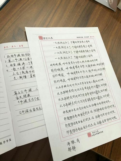 终于了解_1200字