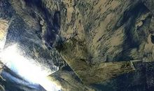 痂 第四回_2000字