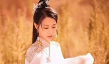 纷披乍依迥，掣曳或随风。