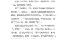 我回家最晚的一天_700字