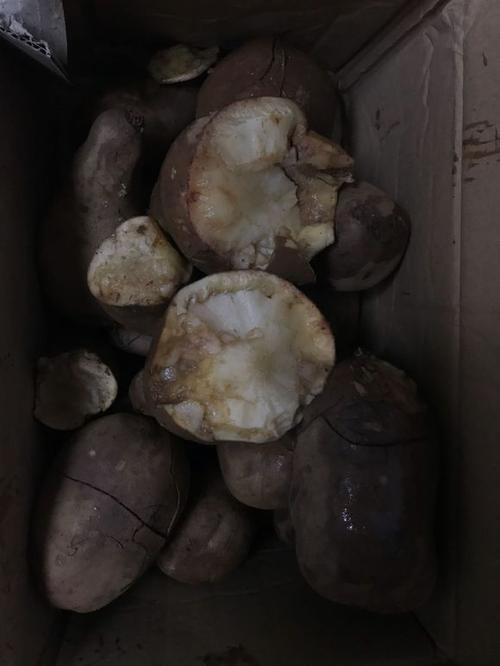 胜利与我有关_650字