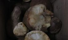 胜负竟与我有关_650字