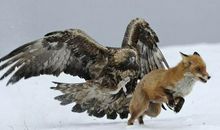 精彩的瞬间_600字