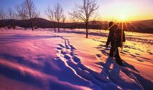 雪中的弟弟_500字