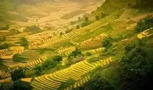 那一座座连绵起伏的“山”_800字