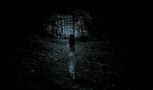 雨中飞扬的寂寞_600字