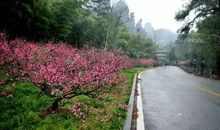 那一个永远无法褪去的背影_1200字