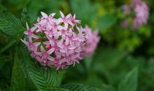 记忆在深处_1200字