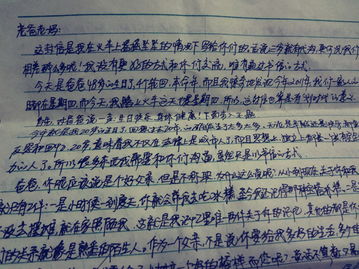 我知道尊重_800字