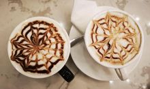 这杯咖啡的温度刚好_200字